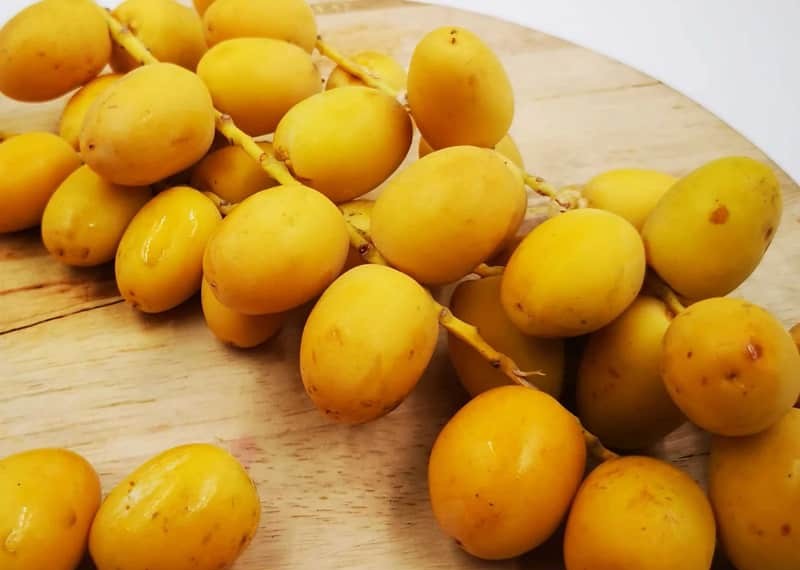giống chà là barhi